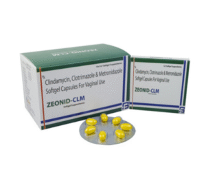 ZEONID-CLM