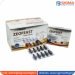 ZEOFEST-STRONG