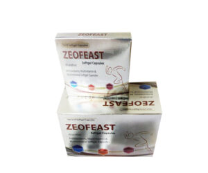 ZEOFEAST